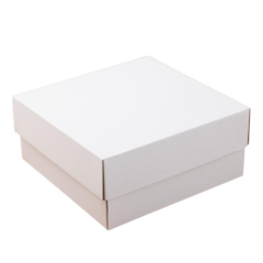 25x25x9 cm Beyaz Kapaklı Kutu,E Ticaret Kargo Kutusu çizgi