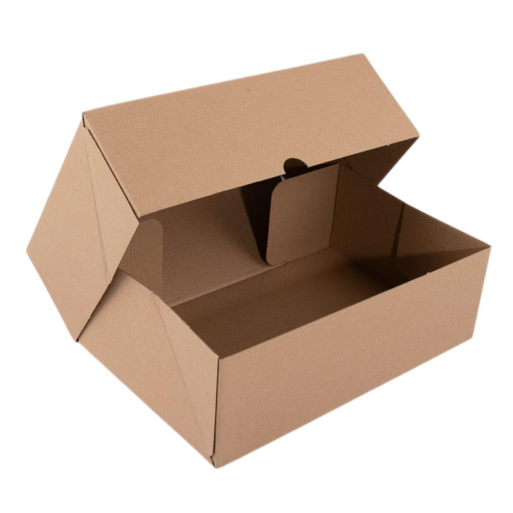 20x30x10 cm E Ticaret Kargo Kutusu 100