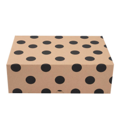 20x30x10 cm E Ticaret Kargo Kutusu 100 - siyah puantiye