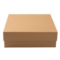 30x30x10 cm Kargo Kutusu,Pasta Kutusu siyah puantiye - 100