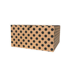 20x20x10 cm Dip kilit model,E Ticaret Kargo Kutusu baskısız