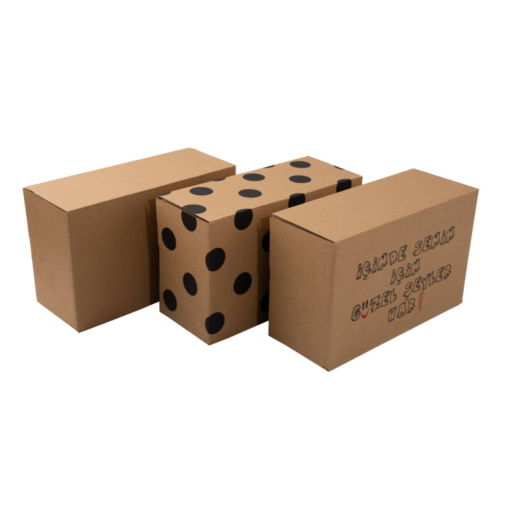 25x16x10 cm E Ticaret Kargo Kutusu baskısız