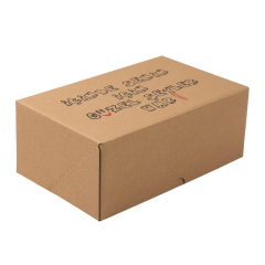 25x16x10 cm E Ticaret Kargo Kutusu baskısız
