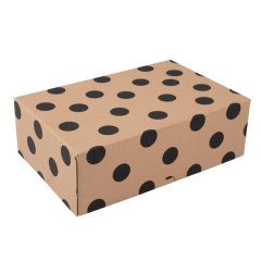 25x16x10 cm E Ticaret Kargo Kutusu puantiye - 100