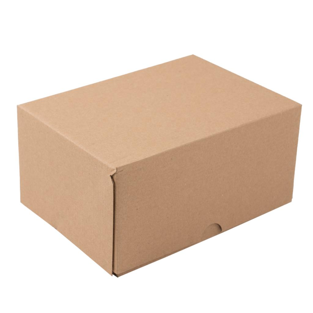 25x16x10 cm E Ticaret Karton Kargo Kutusu 100