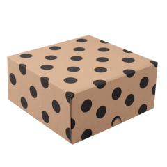 24,5x24,5x11,5 cm E Ticaret Kargo Kutusu puantiye