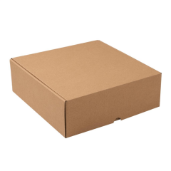 25,5x25,5x8,5 cm E Ticaret Kargo Kutusu baskısız