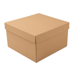 25x25x15 cm E Ticaret Karton Kapaklı Kargo Kutusu içinde senin için güzel şeyler var