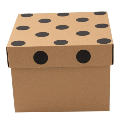 25x25x15 cm E Ticaret Karton Kapaklı Kargo Kutusu içinde senin için güzel şeyler var