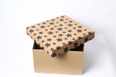 25x25x15 cm E Ticaret Karton Kapaklı Kargo Kutusu