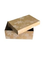 25x15x10 cm E Ticaret Kapaklı Kargo Kutusu