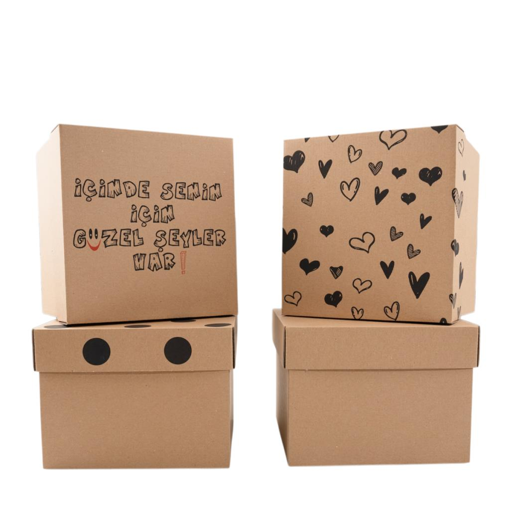 20x20x15cm Kapaklı Kargo Kutusu,Hediye Kutusu puantiye