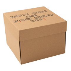 20x20x15cm Kapaklı Kargo Kutusu,Hediye Kutusu içinde senin için güzel şeyler var - 100