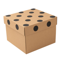 20x20x15cm Kapaklı Kargo Kutusu,Hediye Kutusu içinde senin için güzel şeyler var - 100