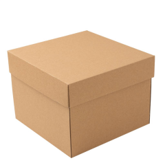 20x20x15cm Kapaklı Kargo Kutusu,Hediye Kutusu baskısız