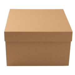 20x20x15cm Kapaklı Kargo Kutusu,Hediye Kutusu içinde senin için güzel şeyler var - 100
