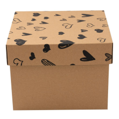 20x20x15cm Kapaklı Kargo Kutusu,Hediye Kutusu puantiye