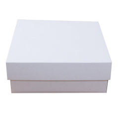 20x20x9 cm Kapaklı Beyaz Kutu,E Ticaret Kargo Kutusu 100 - siyah puantiye
